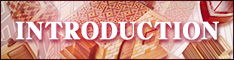 introduction